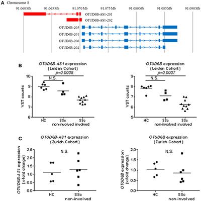 OTUD6B-AS1 Might Be a Novel Regulator of Apoptosis in Systemic Sclerosis